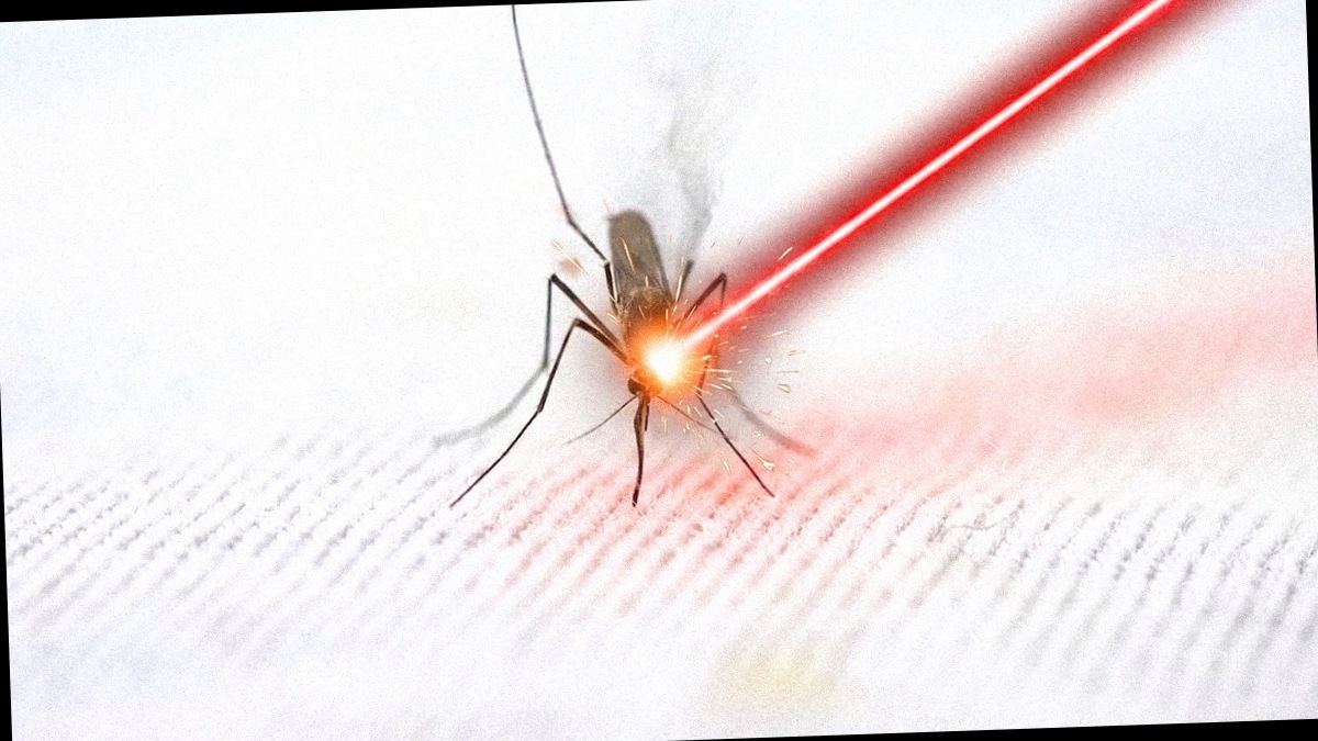 He was fed up with mosquitoes. He built a laser that eliminated them